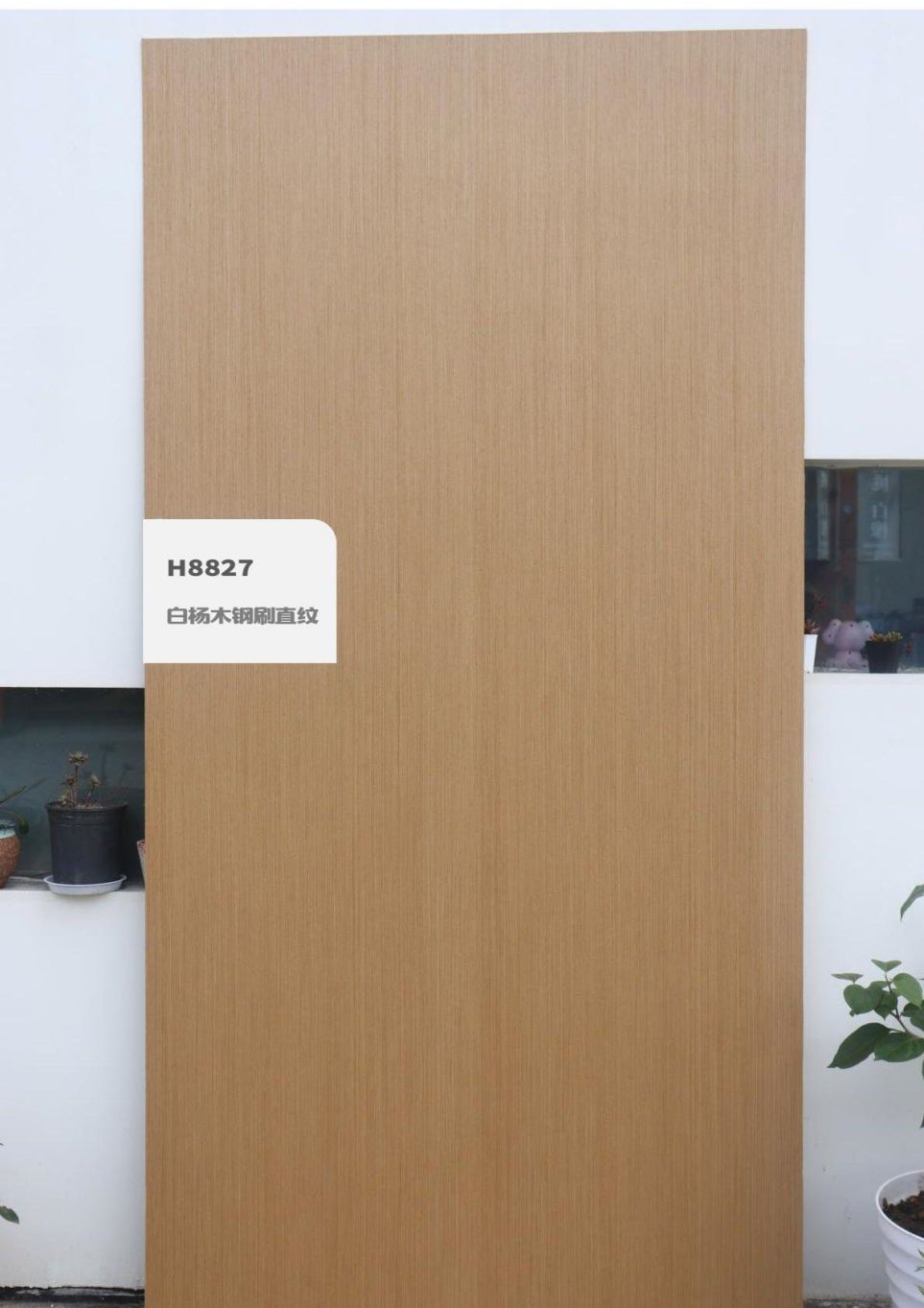 香港福江南板材,福江南木業(yè),香杉木生態(tài)板銷(xiāo)售,桐木生態(tài)板銷(xiāo)售,